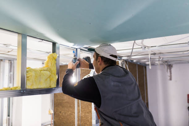 Best Energy-Efficient Insulation  in Greeley, CO